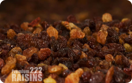 hamiyan yaghoutm raisins, 222, grape, bonab, golden raisins, sultana raisins